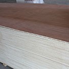 Contreplaqué extérieur 15 mm 250x122, le panneau de 3,05 M2